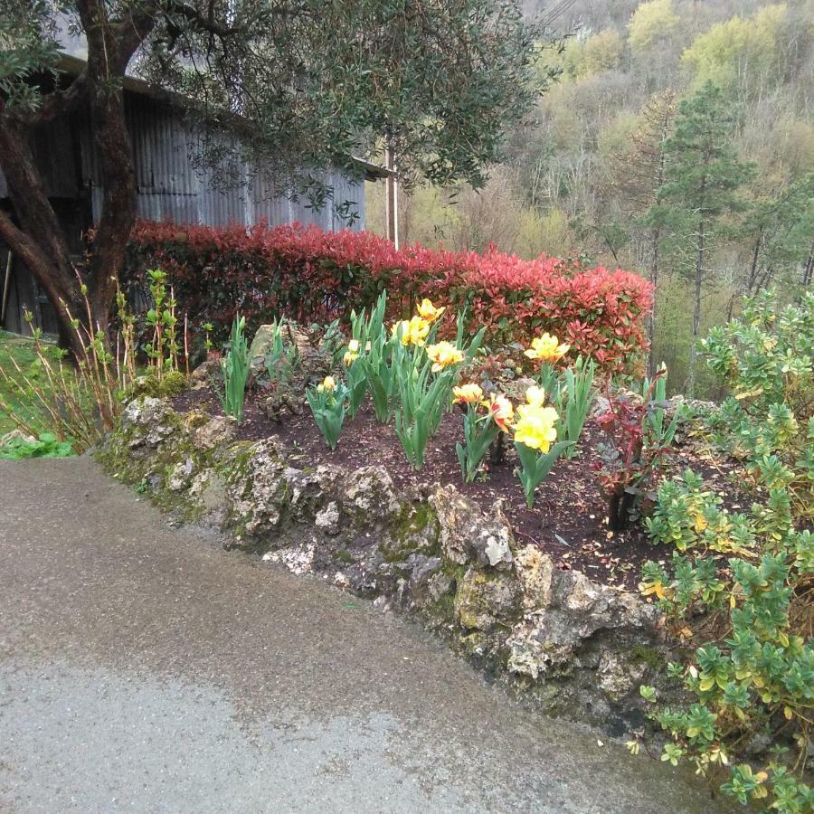 Ferienwohnung Bargoncello Riccò del Golfo di Spezia Exterior foto